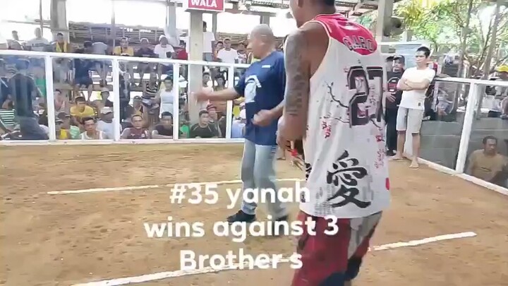 Golden monkey 1st fight 8 seconds