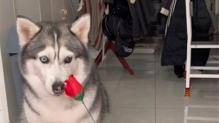 Let’s get romantic after all these years!