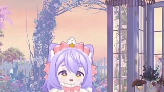 Tại sao phòng phát sóng trực tiếp Loli lại có nhiều anti như vậy!