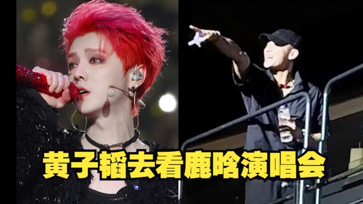 Sniff, I’m tearing up! Huang Zitao went to Lu Han’s concert—so funny! His older brother teased him a