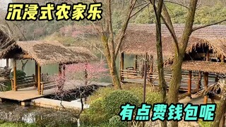 都说“吃亏是福”，我今天沉浸式进村享福了！