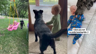 和狗狗的甜蜜友谊，在成长中一起快乐一起幸福