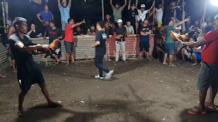 2x winner Hma Raptor win at San Vicente