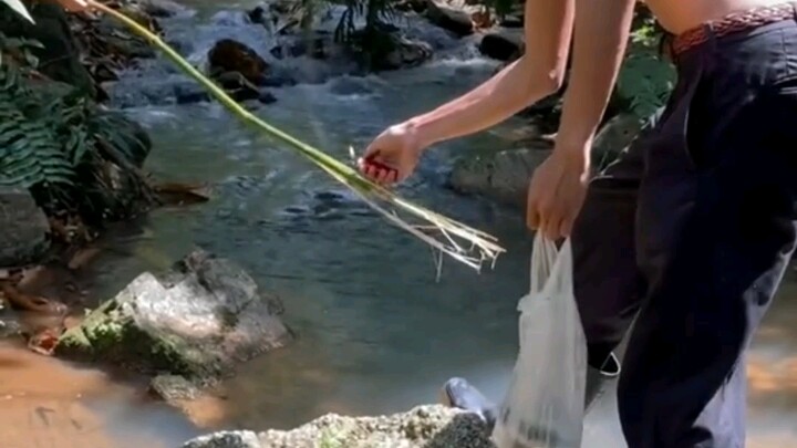 Giáo dục pháp luật: Dùng pháo nổ để đánh cá