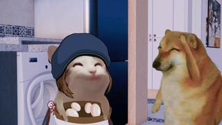 Người ta nói sau khi đánh mất nó mới học được cách trân trọng, thực ra mất đi sau khi trân trọng mới