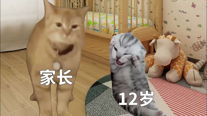 The Critical Years of My Life