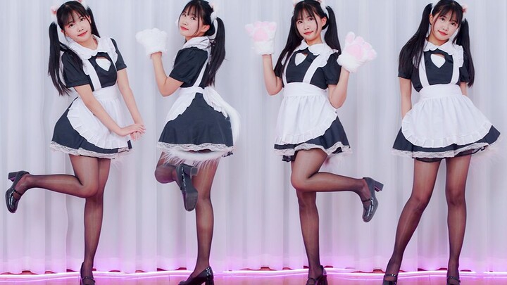 Kucing mengkilap~ Bo Peep Bo Peep🖤Layar vertikal super dekat