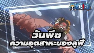 [วันพีซ]ความอุตสาหะของลูฟี่