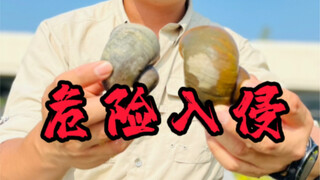 من المؤكد أنك رأيته من قبل! لكنه يمثل خطورة!