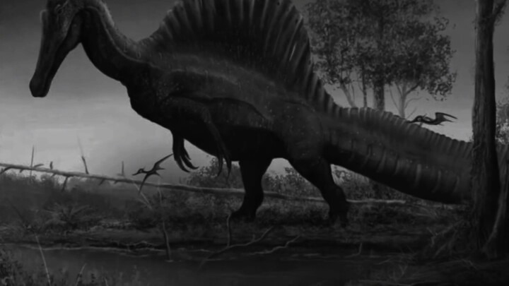 Những gì bạn biết về Spinosaurus chưa từng tồn tại – Spinosaurus thật sự có thể làm đảo lộn mọi nhận