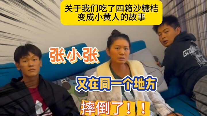 Tak ada orang yang terjatuh di tempat yang sama dua kali, kecuali Zhang Xiao’er.