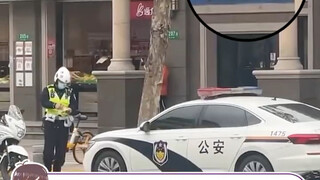 真就主打一个敬职！！