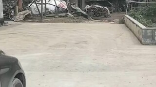 .  “希望「好」字能缠绕我的整个青春