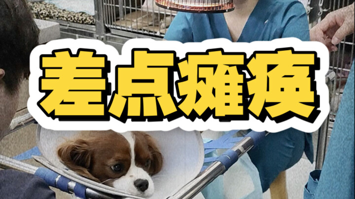 Good thing it arrived in time; after I take a swing, I'll be able to not only jog but even leap high