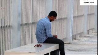 Fake spider troll #ranbiettroll