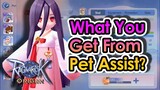 [ROO] What Do You Get From Pet Assist? | KingSpade