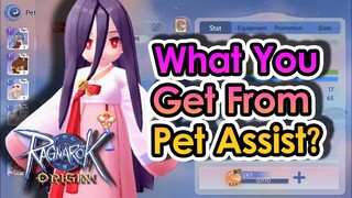 [ROO] What Do You Get From Pet Assist? | KingSpade