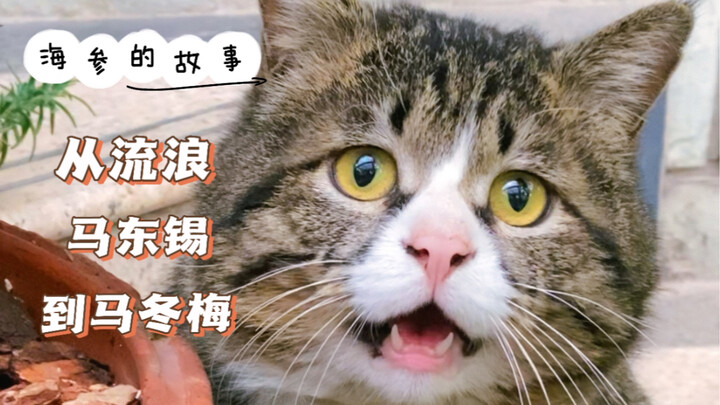 With a body like that, you actually have the nerve to come begging?