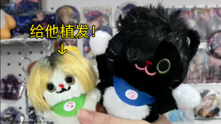 [Doll Hair Transplant] Hair transplant for the Heiyan kitten doll, grinding chapter!