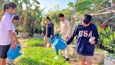 ชุมนุมเกษตร (ปลูกผัก) ภาคเรียนที่ 2 ปีการศึกษา 2567