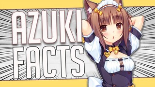 5 Facts About Azuki - Nekopara