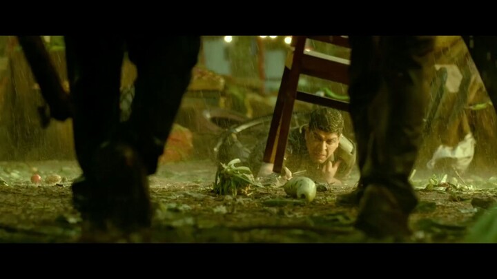 DJ: Duvvada Jagannadham by Allu Arjun & Pooja Hegde (2017)