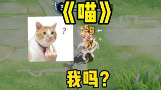 Apakah kamu suka anak kucing?