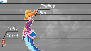 Anastasio Cocci Trần - Review - Xếp Hạng Kích Thước Các Nhân Vật trong One Piece anime #schooltime