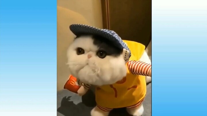 Saat Kucing Edan di Level DEWA eps. 2
