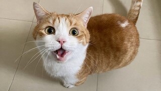 Thank you for your hard work, stranger, please come and suck me!
