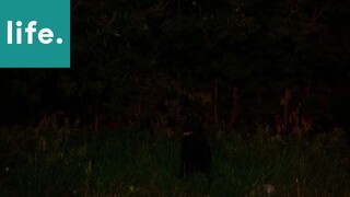 Mẹo hay cho bạn #53 #Mẹo_vặt_cuộc_sống