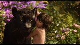 The Jungle Book   Watch Full Movie : Link In Description