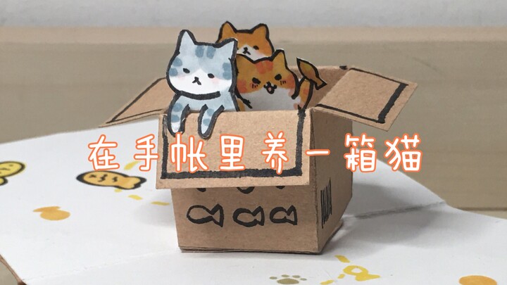 手帐小机关 猫咪盒子 立体书教程