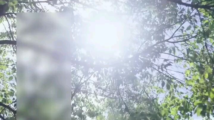 #เกิดใหม่ในวัย 17 ! พลิกชะตาหนีรักร้าย ล้างแค้นสามีเก่า พิชิตใจหนุ่มฮอตประจำโรงเรียน?.