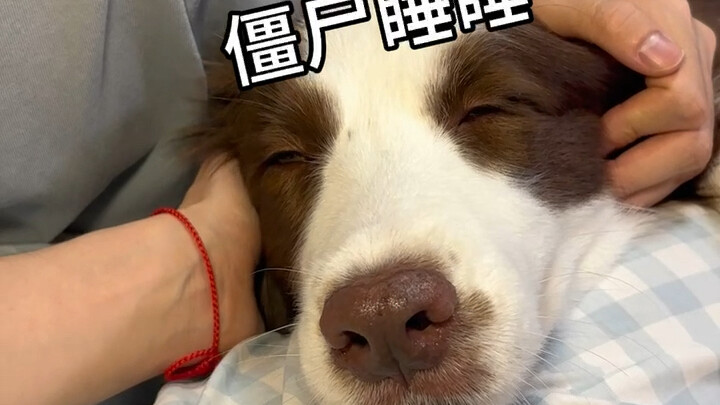 Mom, can we give Dad away?