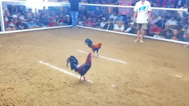 Naka Pagpachampion din sa wakas (November 26, 2023)