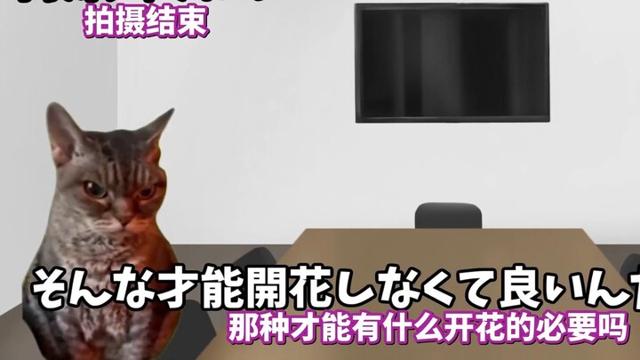 【熟肉】在南桐片制作公司打工的日常（才能开花篇） | 猫meme