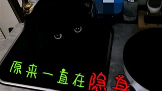 Even a stealthy cat knows to go to bed early—why are you still staring at your phone?