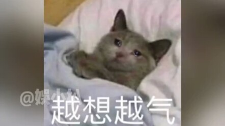 Adik: Aku gila! "Kocak" Tak Terduga! "Hiburan untukmu"