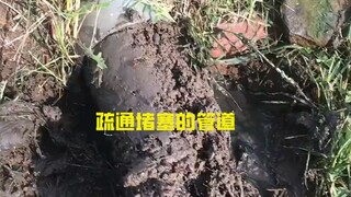 Why is a sewer blocked by tree roots the hardest to clean?