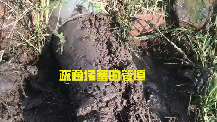 Mengapa saluran pembuangan yang tersumbat oleh akar pohon adalah yang paling sulit dibersihkan?