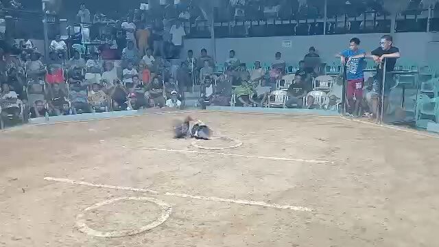 CVCC 7 stag Grand finals Calajoan Cebu 2024 4th fyt (W) Lemon Sweater