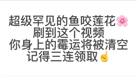 Bilibili won’t spam random recommendations—when a fish bites the lotus, it’s a sign of good luck for