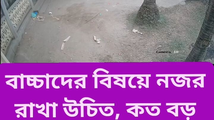 বাচ্চাদের উপর নজর না রাখার ফল।