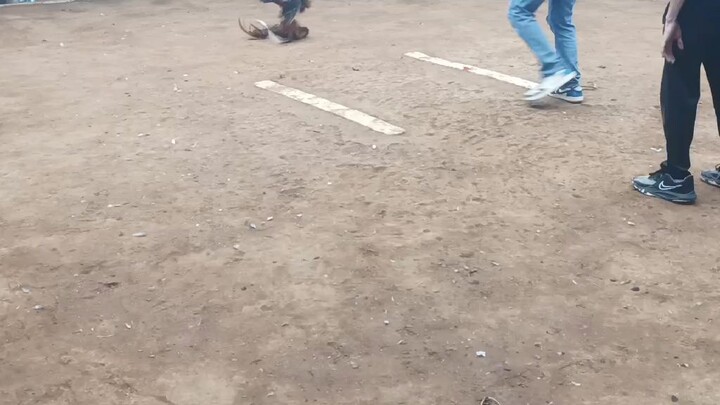 # 2nd fight win. laki Ng kalaban..