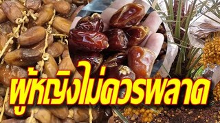 รู้ไว้! ผู้หญิงไม่ควรพลาด กินอินทผาลัม บ่อยๆ ทําให้ร่างกายดูดีขึ้น