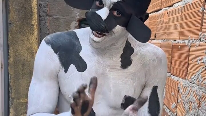 วัวนมปราบยาเสพติดของโปแลนด์🐄