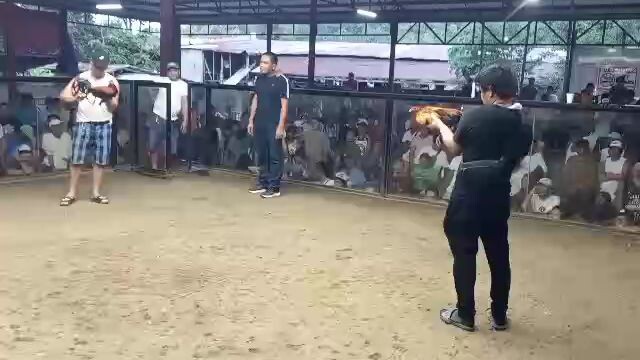 alagang Ultra Supervit