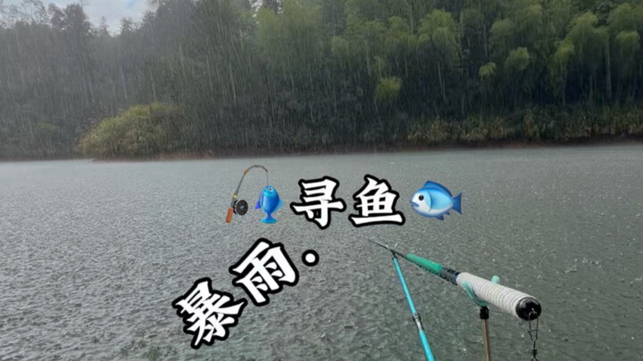 Heavy Rain. Fishing for Fish