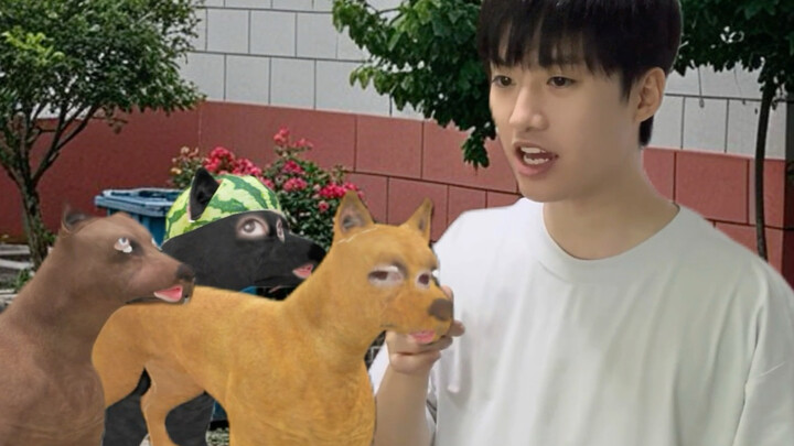 Episode keempat pertukaran kehidupan anjing kota dan anjing desa (Pengawalan antara manusia dan anji